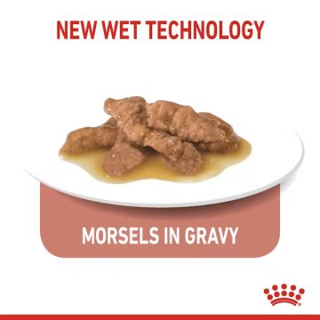 Royal Canin Pouch in Gravy Indoor Sterilised 85g